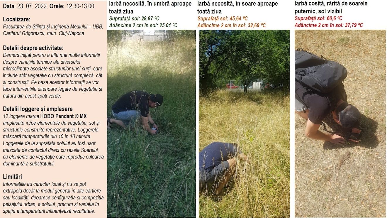 Studiul unui profesor de la Babeș Bolyai: Iarbă necosită, la umbră – 28,87 grade / Iarbă cosită, expusă la soare: 60,6 grade / ”A avea umbră de la un arbore, în apartament de bloc, înseamnă răcoare care se simte pe bune!”