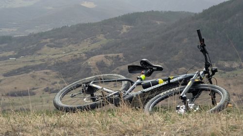 Zăvoi Trail Comana va avea loc în 27-28 septembrie 2025, la doar 30 de km de București