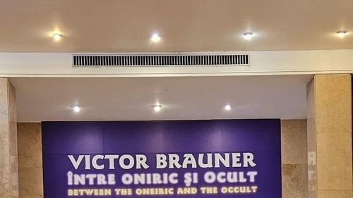 Expoziţia Brauner de la Muzeul Naţional de Artă va fi închisă până în 7 februarie, pentru reamenajare, după retragerea lucrărilor pe care le deține Adrian Năstase