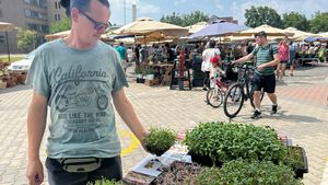 Un brăilean a renunțat la amenajări interioare în Anglia pentru a crește microplante la Sibiu / ”Ridichile sunt pline de calciu, fier și magneziu. Cele de floarea soarelui au mult fier, iar coriandrul ajută la eliminarea metalelor grele din organism”