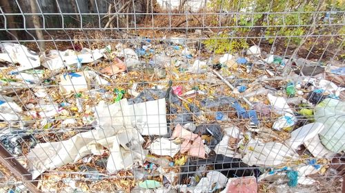 Mizeria din oraş, costul încălzirii și calitatea precară a aerului, cele mai arzătoare nemulţumiri ale bucureştenilor / Nicuşor Dan: Problema curăţeniei stradale este a primăriilor de sector. Gicacaloria este cea mai mică din ţară. Poluarea vine din două surse, trafic şi încălzire