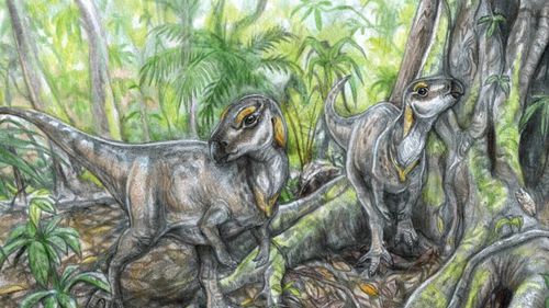 Fosile de dinozaur, unice în lume, descoperite în Geoparcul Internaţional UNESCO Ţara Haţegului