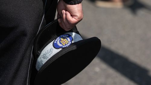 Hoți din Vaslui prinși după ce unul a rămas agățat în gard / L-au dat jos polițiștii de la o secție rurală