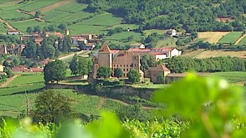 Franța îi oferă noului președinte al SUA două sticle de vin de Burgundia pentru a-l convinge să ridice suprataxa aplicată vinurilor şi băuturilor spirtoase franţuzeşti