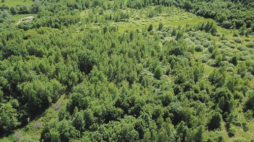 Federaţia Proprietarilor de Păduri şi Păşuni pichetează luni Ministerul Agriculturii acuzând subfinanţarea domeniului în Planul Naţional Strategic 2023-2027