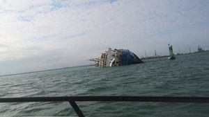 VIDEO O navă cu peste 14.000 de oi s-a răsturnat în Portul Midia Năvodari