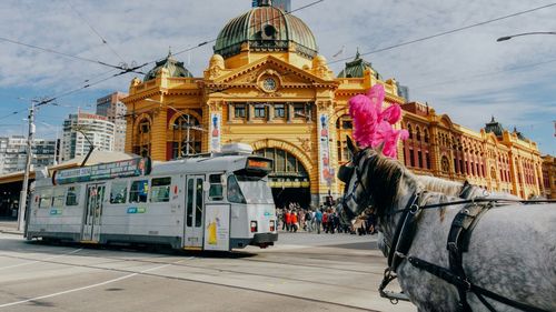 Inginerul Formula 1 care a devenit patiser și face cele mai bune croissante din afara Parisului: Cum să petreci un weekend de neuitat în Melbourneul său natal, dacă mergi la Grand Prix