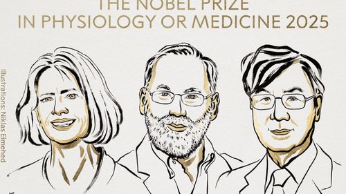 BREAKING Premiul Nobel pentru Medicină 2025: Mary E. Brunkow, Fred Ramsdell și Shimon Sakaguchi