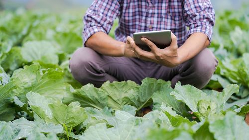 Dacian Cioloş: Marcel Ciolacu şi echipa lui de zgomote s-au apucat să vânture din nou minciuna că subvenţiile agricultorilor sunt mici din cauza mea. Să îl întrebe pe Adrian Năstase de ce a negociat subvenţii mici