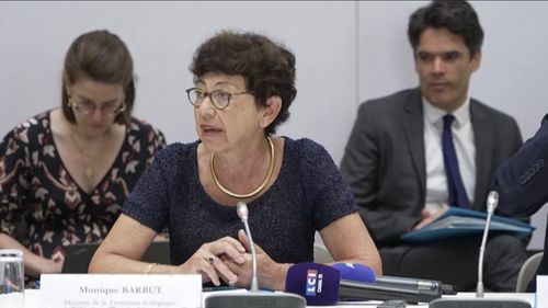 Macron a convins-o pe ministra mediului să rămână în funcție / Monique Barbut își dăduse demisia la începutul acestei săptămâni, susținând că „forțele care se opun” programului său de tranziție ecologică deveniseră „prea puternice”