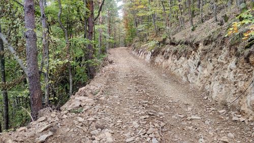 Poteca spre vârful Măgura din Sibiu a fost transformată într-un drum lat de 4 metri / Se dorește extragerea lemnului / Salvamont: ”Estetic și noi preferăm ca potecile turistice să rămână poteci”