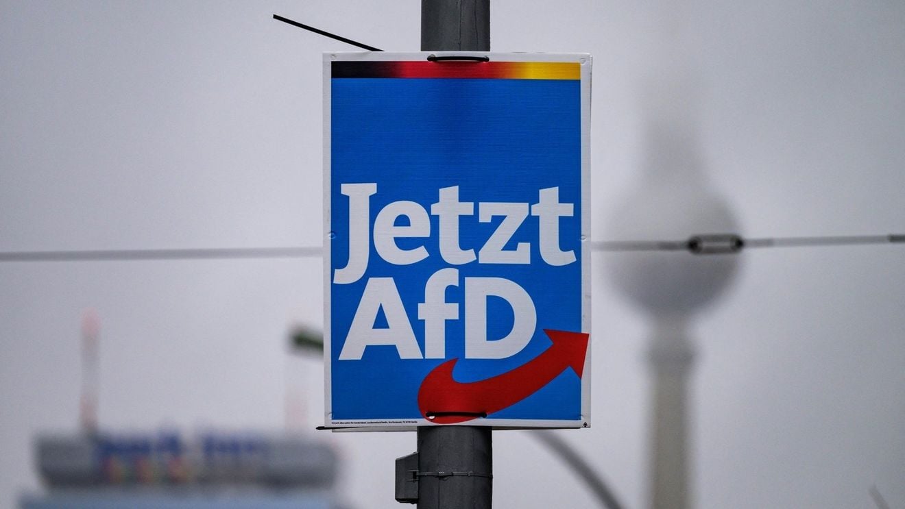 Austria anchetează o donaţie de 2,35 milioane de euro către partidul german de extremă dreapta AfD