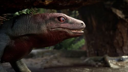 Cele mai vechi urme fosile de reptilă, descoperite în Australia / Noua descoperire arată că evoluția animalelor terestre a fost mai rapidă decât se credea