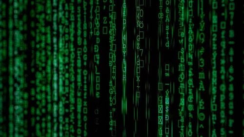 Google anunţă că a dezvoltat un algoritm revoluţionar pentru calculul cuantic / Noul algoritm denumit Quantum Echoes este de 13.000 de ori mai rapid decât cel mai sofisticat algoritm clasic