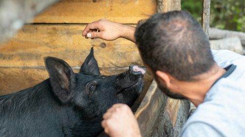 Fermele mai mici vor fi exceptate de la controale şi sancţiuni pentru nerespectarea unor norme, potrivit unei revizuiri a politicii agricole a UE aprobată de Parlamentul European