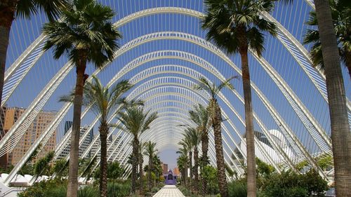 Cum a ajuns Valencia cel mai ”verde” oraș al Europei, de la inovație la produsele agricole locale