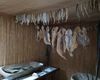 Dobrogea candidează oficial la titlul de Regiune Gastronomică Europeană 2029 / „Este o invitație adresată Europei de a descoperi Dobrogea prin gusturile sale”