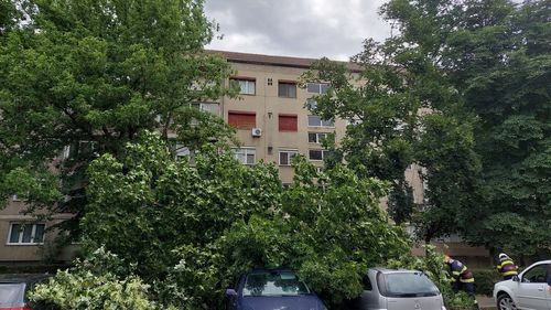 Oradea: Furtuna de vineri după-masa a lăsat pagube semnificative pe străzile orașului / Mașini avariate în parcări, după ce vântul puternic a doborât mai mulți copaci