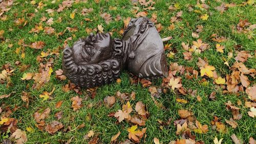 FOTO Vandalizare pe Aleea Personalităților din Parcul Central-Scudier din Timișoara. Cinci busturi au fost dărâmate de pe soclu