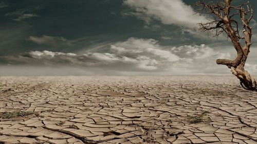 În Rusia a apărut primul deșert european produs de schimbările climatice