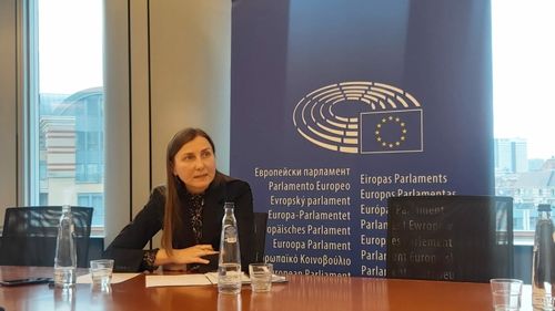 Daniela Morari, ambasadoarea Republicii Moldova pe lângă UE: Republica Moldova cumpără 80% din electricitate din România