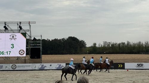 Spectacol cu cai și vedete internaționale la Singureni Manor Polo Cup: Trei zile de eleganță și competiție la cel mai înalt nivel (FOTO&VIDEO)