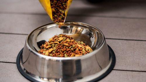 Hrana vegetariană și vegană pentru câini: Proteine, vitamine și mituri demontate / Ce trebuie să știi înainte să schimbi dieta