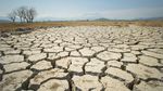 Lacul Velence, al treilea ca mărime din Ungaria, este pe cale să sece, punând în pericol turismul şi fauna sălbatică