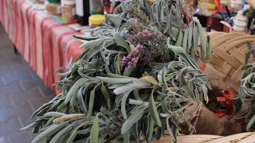 Ce poți face în București în acest weekend / Lista evenimentelor