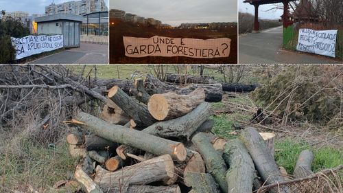 GALERIE FOTO Protest spontan al activiștilor de mediu împotriva defrișării parcului IOR: „Secția 12 cât te costă să aplici Codul Silvic?” / Tăierea arborilor fără aviz legal este infracțiune, conform legii