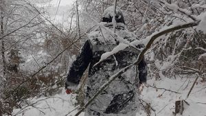 Singurul locuitor al unui sat din județul Alba a rămas izolat din cauza zăpezii / Polițiștii i-au dus medicamente