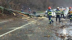 Peste 50 de arbori căzuți pe carosabil în mai multe localități din județul Cluj din cauza zăpezii / Un copac a căzut peste un autoturism la Sighișoara