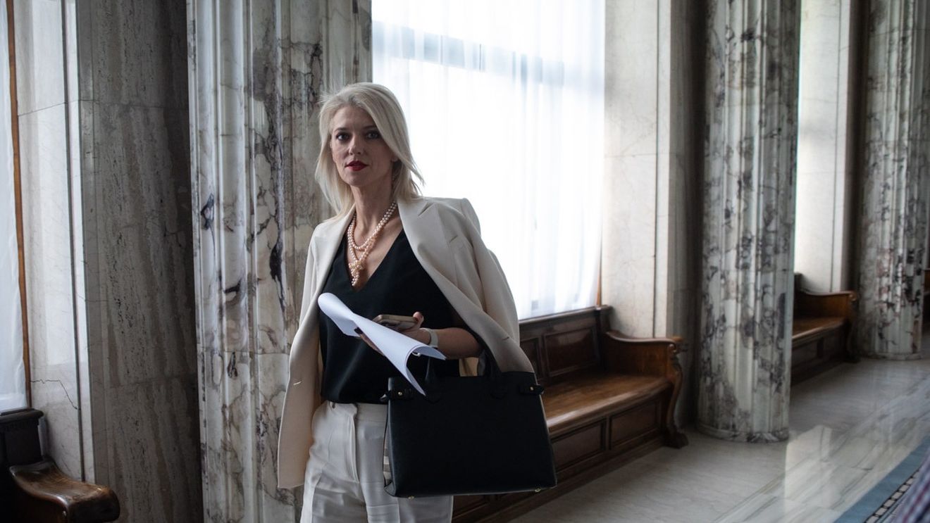 Alina Gorghiu, despre fenomenul fugarilor: Am adus din Brazilia două persoane, ne-a costat 82.000 de lei / Ca să-l aducem pe Baicu Cristian din Republica Dominicană, statul român a scos din buget 57.173 lei, iar pentru un fugar din Costa Rica 54.300 lei