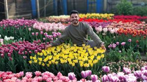 După ce a muncit în Olanda, un sibian și-a deschis grădină cu lalele pe 2.000 de mp / Accesul liber pentru vizitatori și fotografii profesionale gratuite  