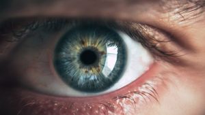 Descoperire care schimbă modul în care înțelegem vederea: Retina ascunde o rețea de conexiuni necunoscute
