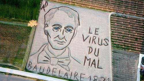 Un portret uriaş al poetului francez Charles Baudelaire a apărut pe un câmp din Italia