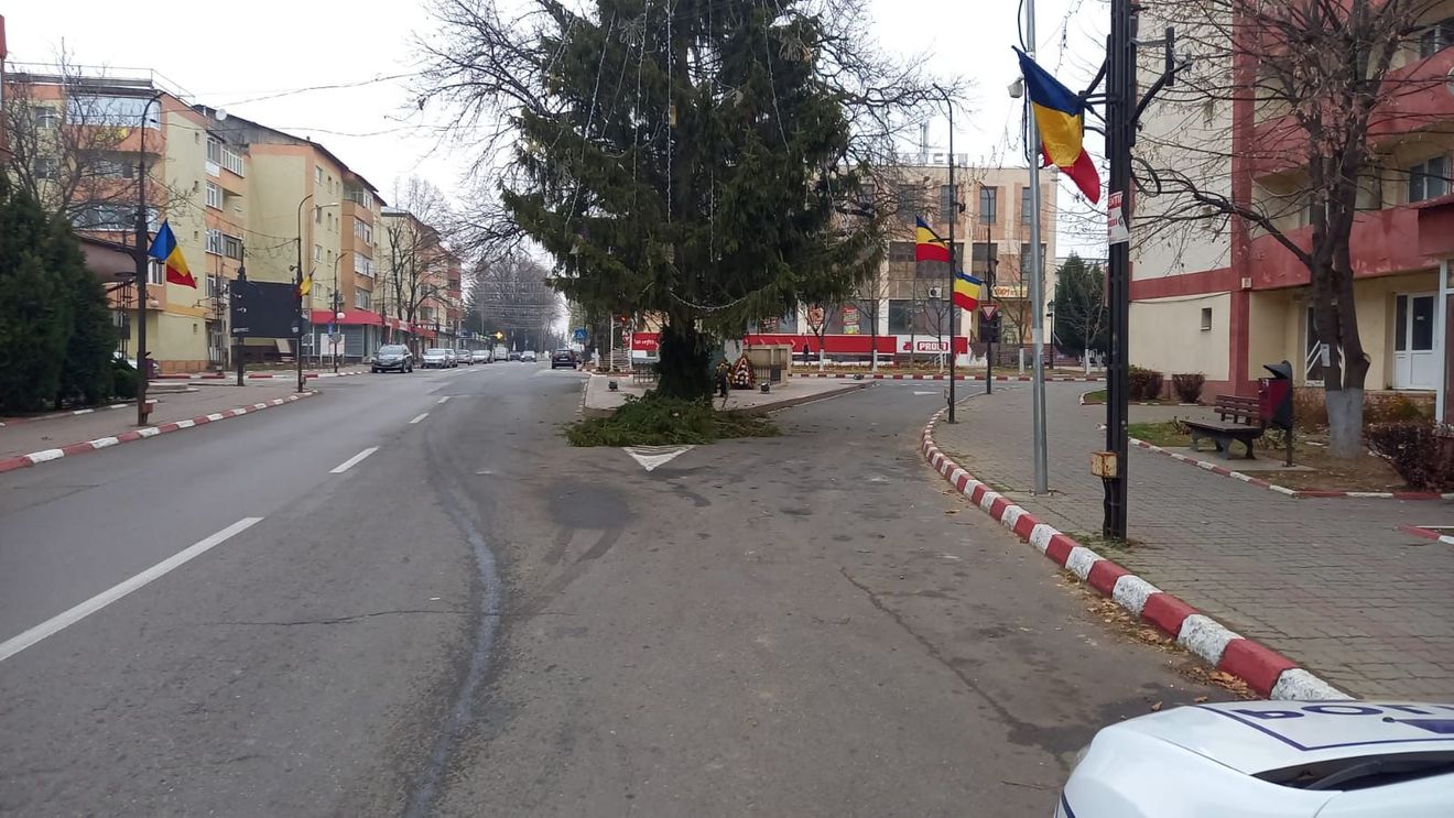 Poliția Panciu, după sesizarea G4Media privind bradul imens din mijocul străzii: Am pus în vedere Primăriei să toaleteze bradul. A fost aplicată și o sancțiune contravențională, firmei care a amplasat bradul