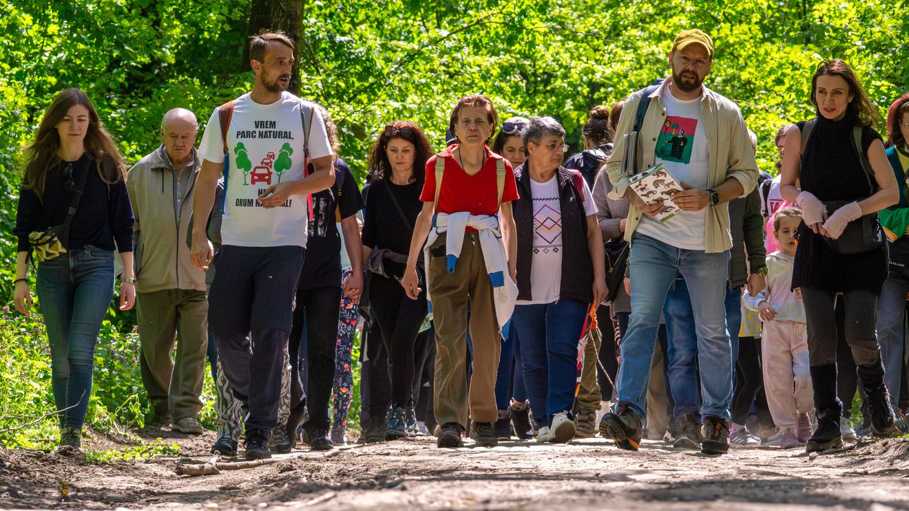 FOTO REPORTAJ | Când pădurea își cere liniștea: tur ghidat în Pădurea Băneasa, între natură și presiunea traficului, despre biodiversitate și viața sălbatică
