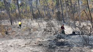 Insula Thassos oferă vacanțe gratuite pentru pompierii români care ajută la stingerea incendiilor