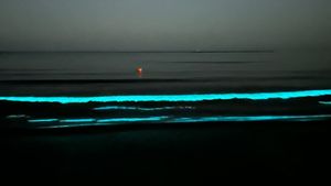 VIDEO Fenomen spectaculos pe litoral: apa mării a devenit strălucitoare, datorită bioluminiscenței / În Marea Neagră, fenomenul nu este foarte comun și apare datorită unor microorganisme marine