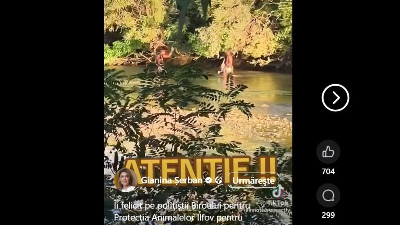 George Simion distribuie o filmare în care sunt surprinși cetățeni pakistanezi care prind două lebede pe râul Argeș: „Ar trebui expulzați acești indivizi?”