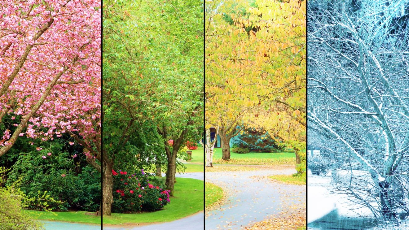 Cum a schimbat un compozitor muzical spaniol ”Anotimpurile” lui Vivaldi pentru a le adapta la realitatea zilelor noastre, ca urmare a schimbărilor climatice