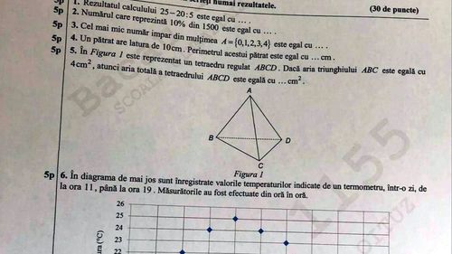 Subiecte Matematică Evaluarea Națională 2019: Vezi ce subiecte au avut de rezolvat astăzi la examen absolvenții de clasa a VIII-a