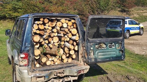 DNA a început urmărirea penală împotriva șefului Poliției Alba, Florin Dogaru. El e acuzat că e implicat în traficul de lemn din Apuseni