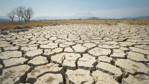 Marea Britanie trebuie să se pregătească urgent pentru temperaturi mai ridicate, avertizează consilierii climatici / Țara nu ar face față fenomenelor meteo extreme