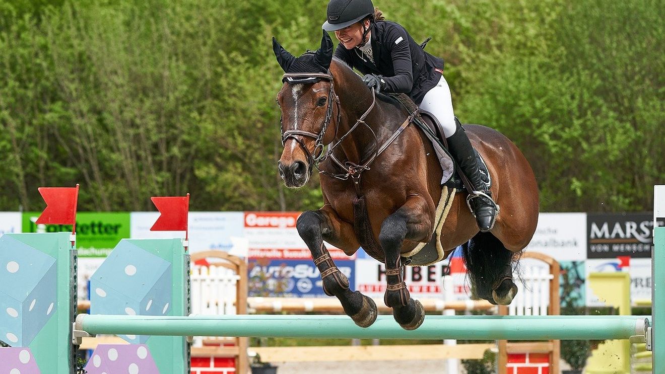Un virus foarte contagios afectează lumea sportului ecvestru