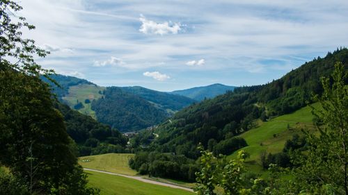 Cea mai „instagramabilă” pădure din Europa este Pădurea Neagră din Germania, cu 2.400.000 de hashtag-uri pe Instagram - studiu