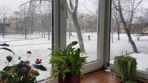 INTERVIU Viața în Kiev, între două bombardamente / ”Mi-e groază să mă gândesc că vărul meu din Belarus va fi înrolat și va veni aici, să lupte împotriva mea”