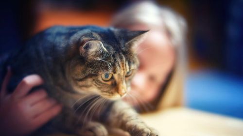 VIDEO EXCLUSIV | Ce suplimente pot lua câinii și pisicile în sezonul rece: Sfaturile medicului veterinar Beatrice Ilea