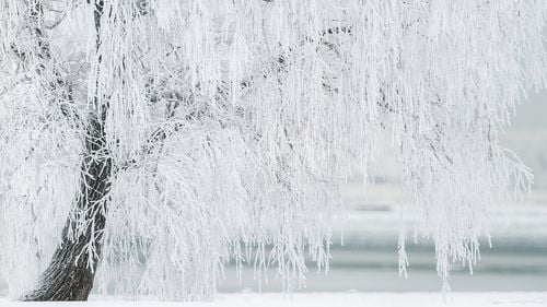 China este în alertă maximă, în fața unui val de frig intens